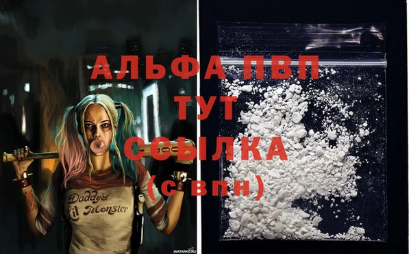 стаф Арсеньев