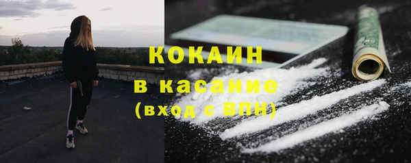 стаф Арсеньев