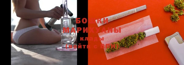 стаф Арсеньев