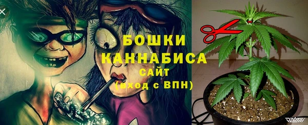 стаф Арсеньев