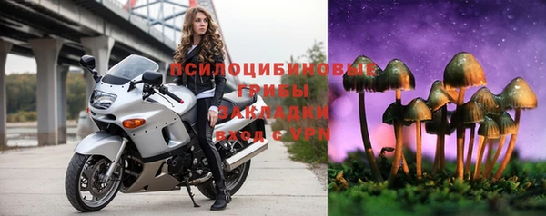 марки lsd Аркадак